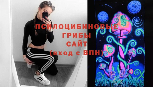 дурь Бронницы