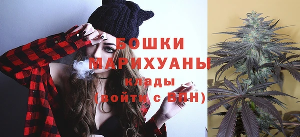 дурь Бронницы