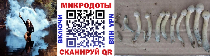 Купить где  Красково  Галлюциногенные грибы ЛСД 